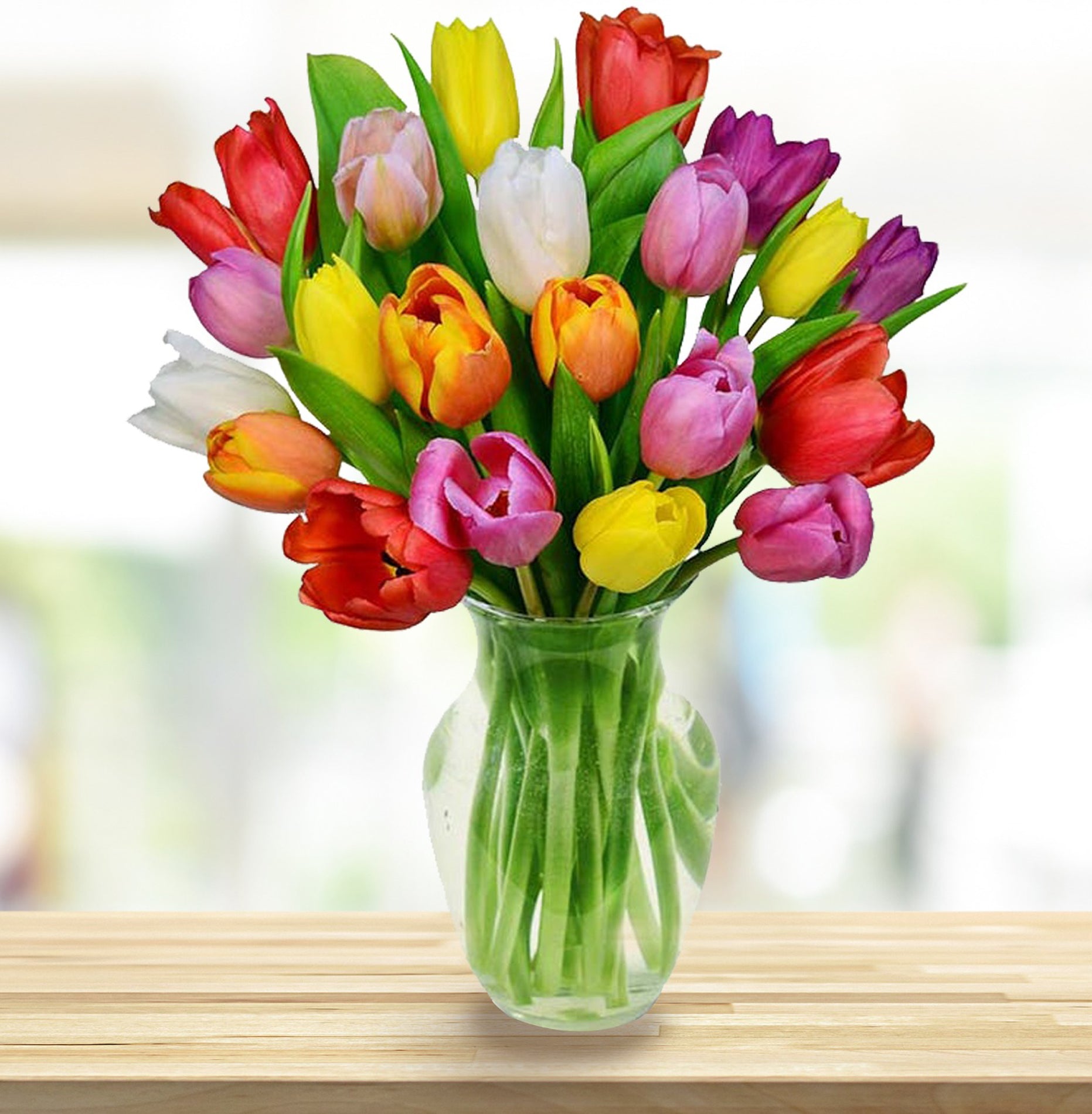 Rainbow Tulips - Sophy Crown Flowers